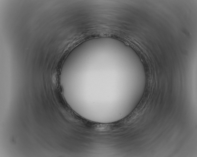 X0000115640088200911101105