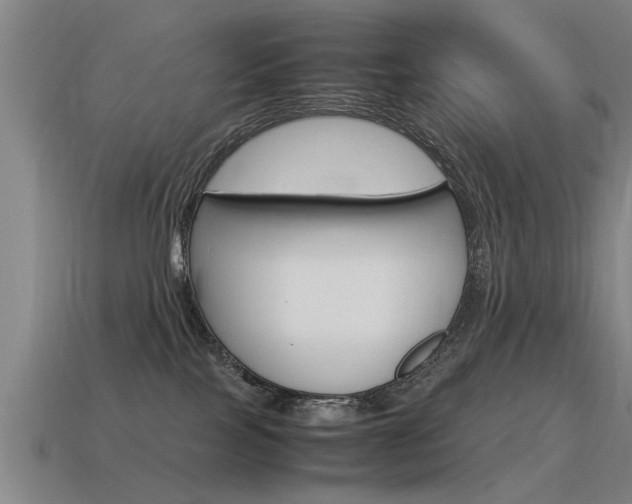 X0000115640089200911101105