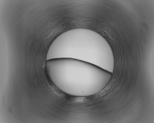 X0000115640090200911101105