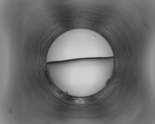 X0000115640091200911101105