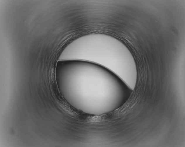 X0000115640092200911101105