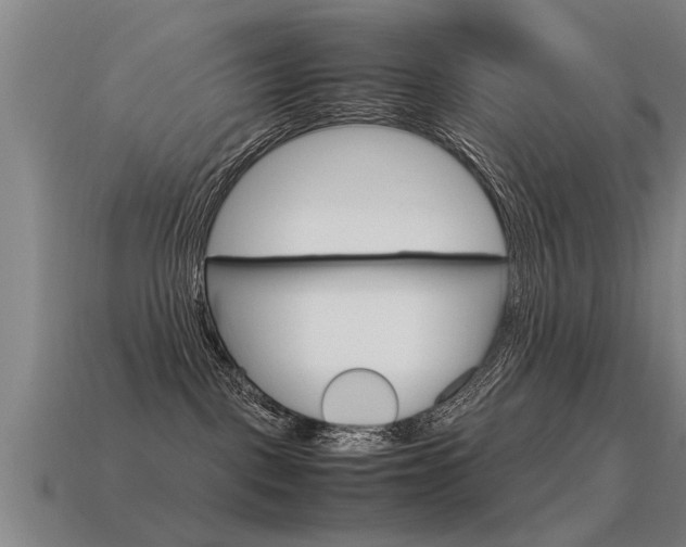 X0000115640093200911101105