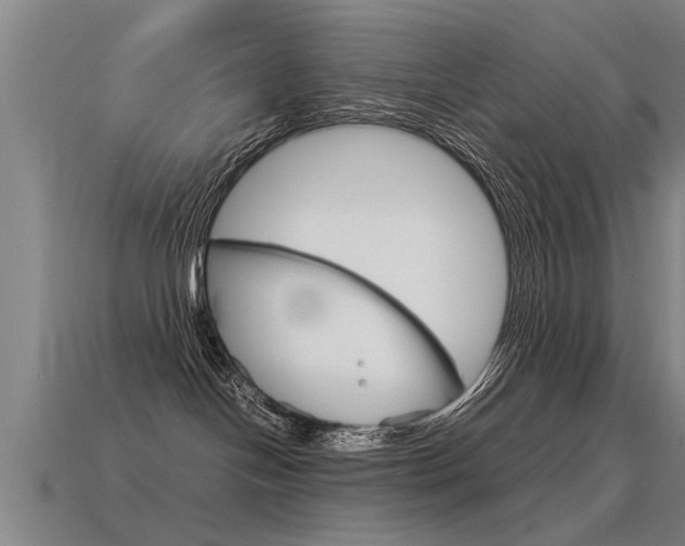 X0000115640094200911101105