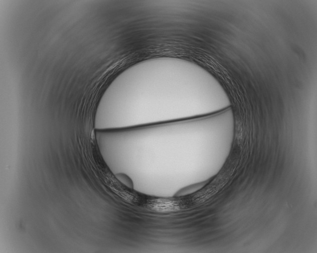 X0000115640095200911101105