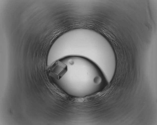X0000115640096200911101105