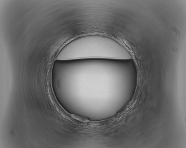 X0000115640097200911101104