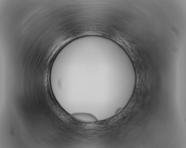 X0000115640098200911101104