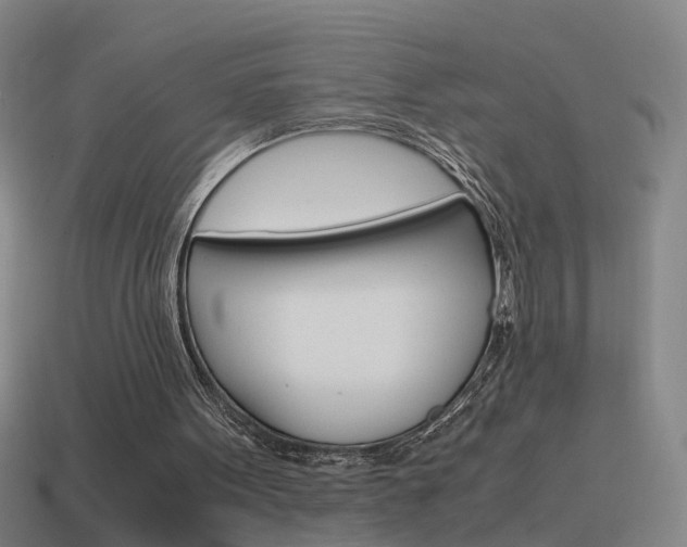 X0000115640099200911101104