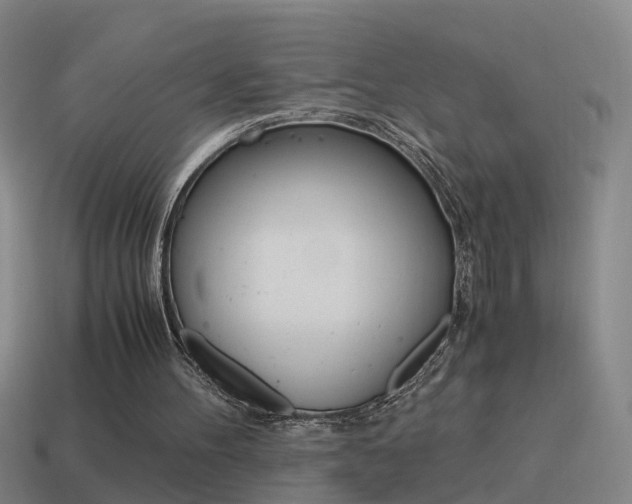 X0000115640100200911101104