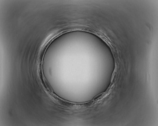 X0000115640101200911101104