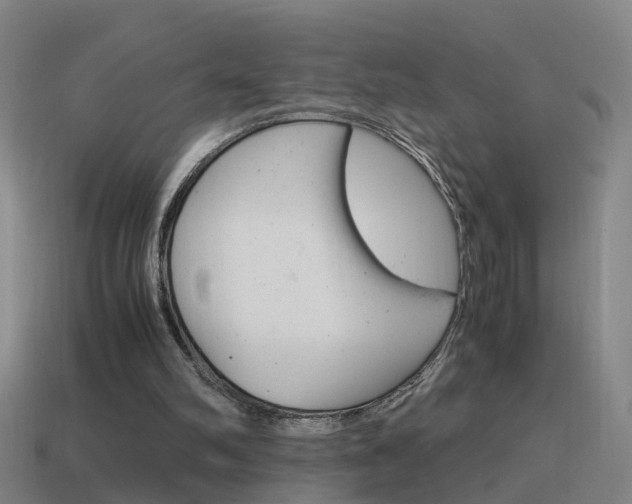 X0000115640102200911101104