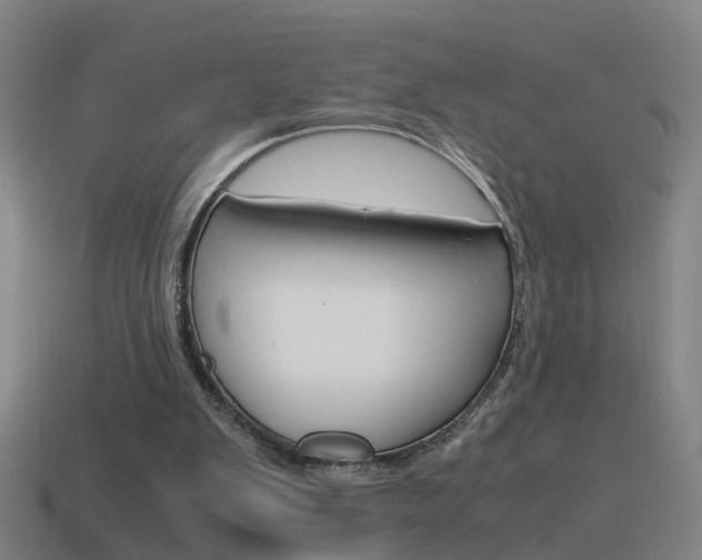 X0000115640103200911101104