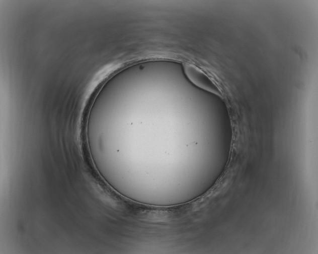 X0000115640104200911101104