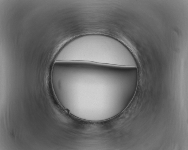 X0000115640107200911101104