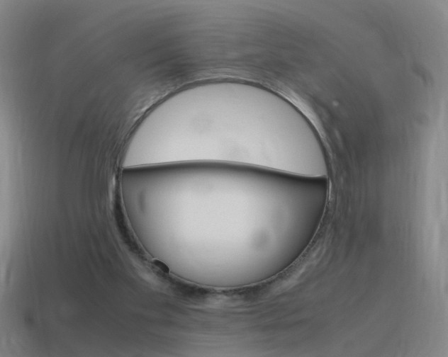 X0000115640109200911101104