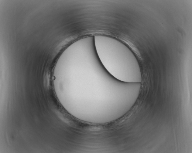 X0000115640110200911101104