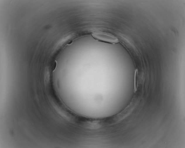 X0000115640120200911101104