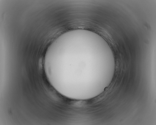 X0000115640122200911101104