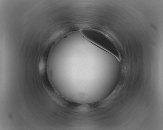 X0000115640124200911101104