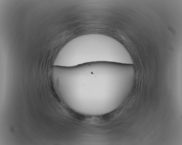 X0000115640125200911101104