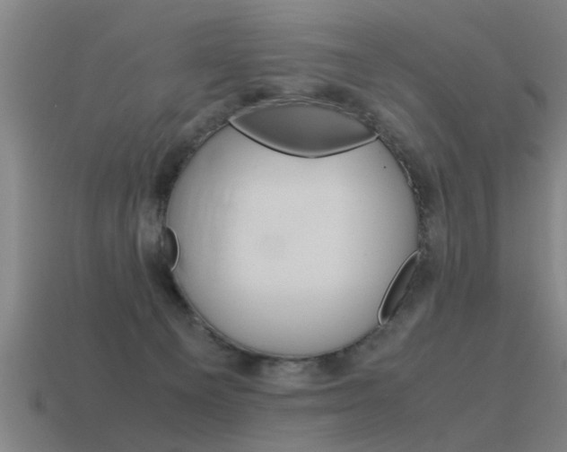 X0000115640129200911101104