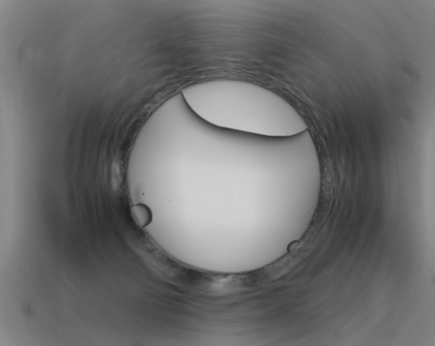 X0000115640130200911101104