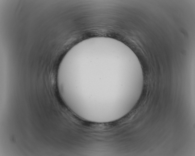 X0000115640131200911101104