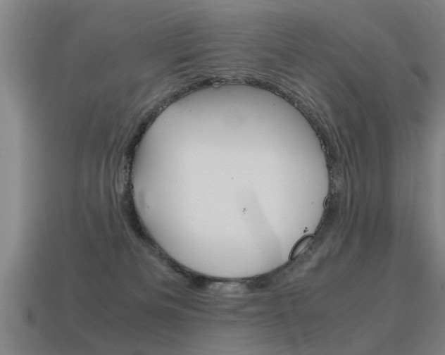 X0000115640133200911101104