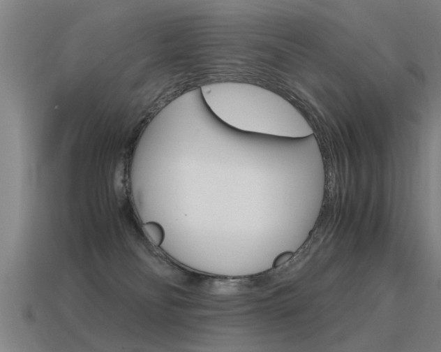 X0000115640134200911101104