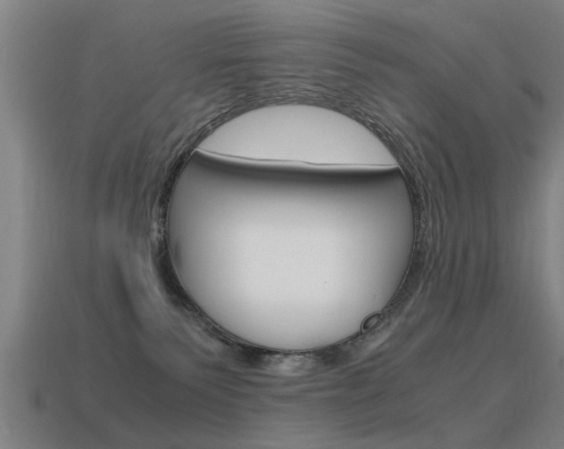 X0000115640135200911101104