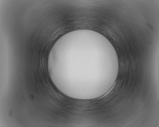 X0000115640136200911101104