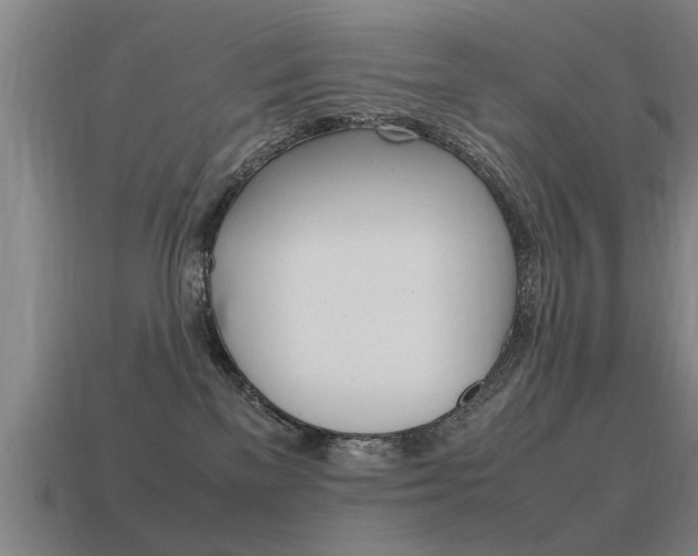 X0000115640137200911101104