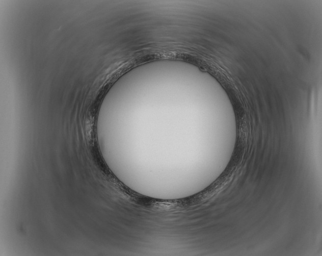 X0000115640139200911101104