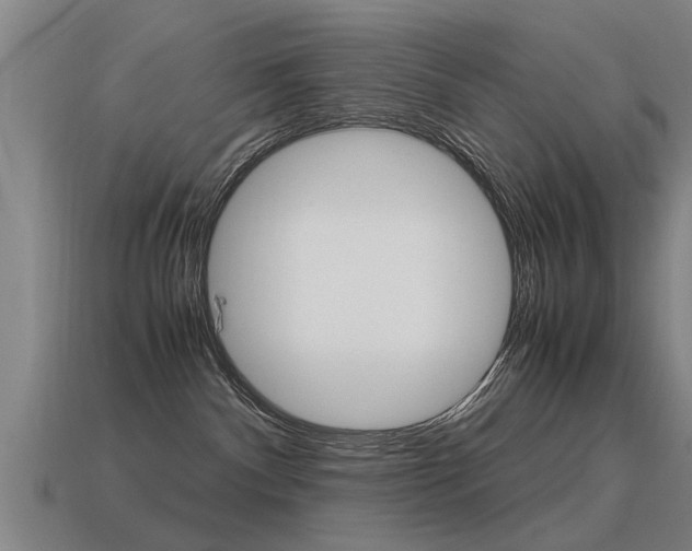 X0000115640140200911101104