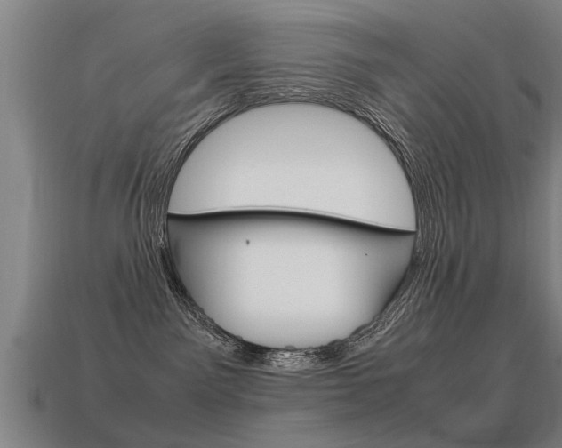 X0000115640141200911101104