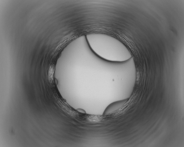 X0000115640142200911101104