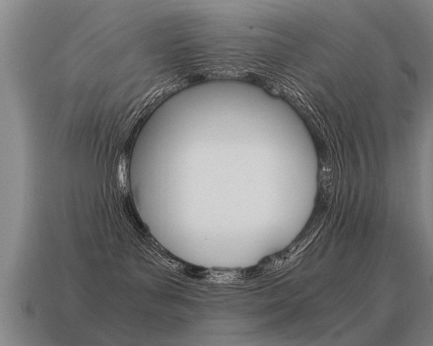X0000115640143200911101104