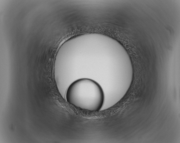 X0000115640144200911101104