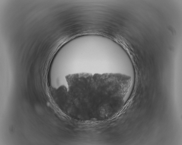 X0000115640145200911101103