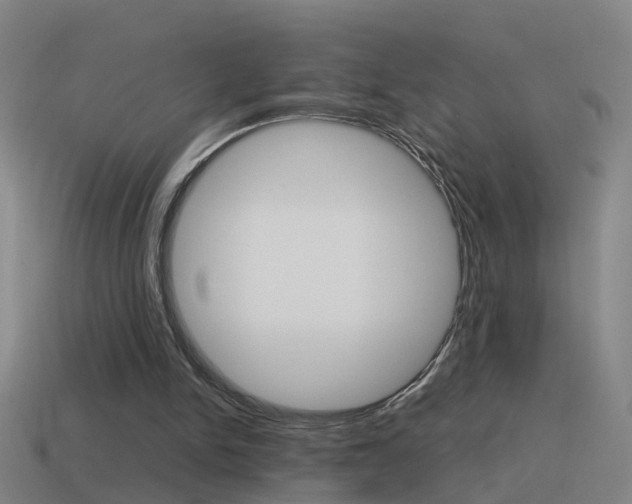 X0000115640150200911101103