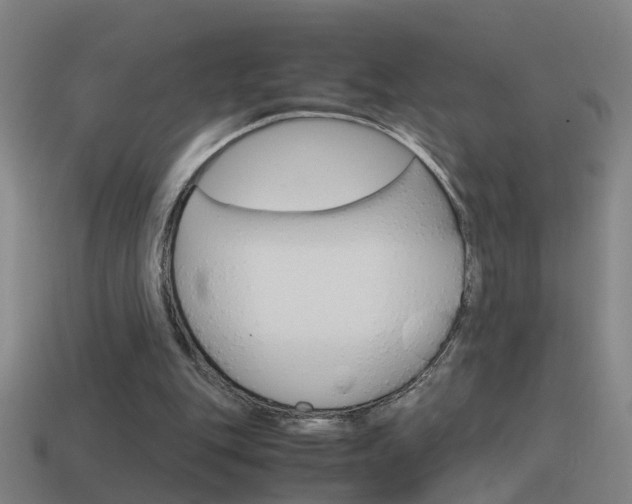 X0000115640151200911101103