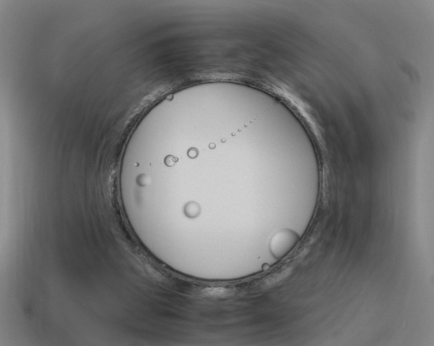 X0000115640153200911101103