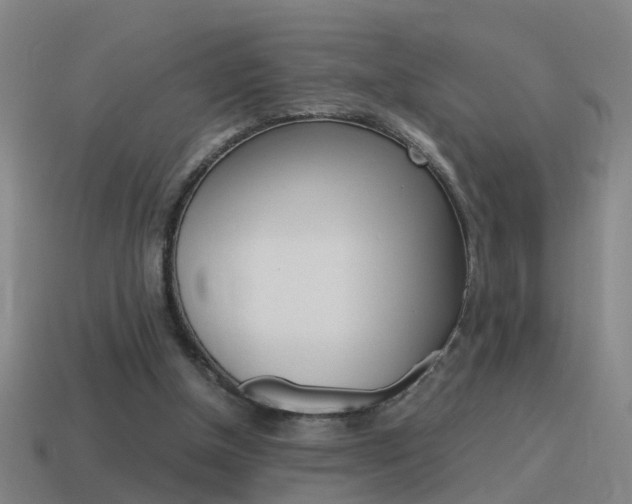 X0000115640154200911101103