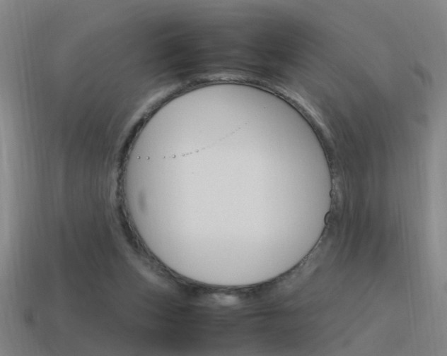 X0000115640159200911101103