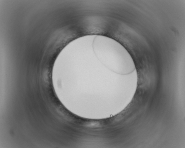 X0000115640162200911101103