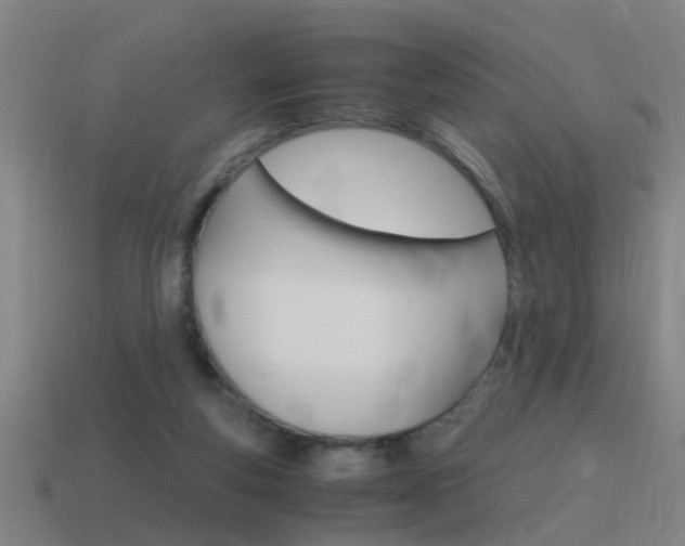 X0000115640163200911101103
