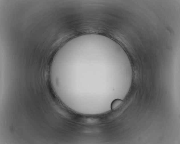 X0000115640165200911101103