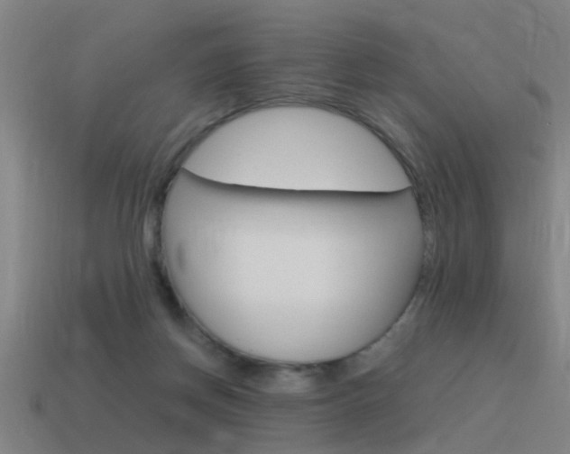 X0000115640166200911101103