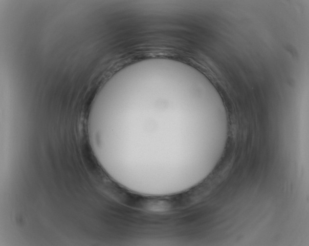 X0000115640169200911101103