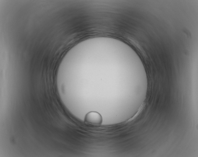 X0000115640170200911101103